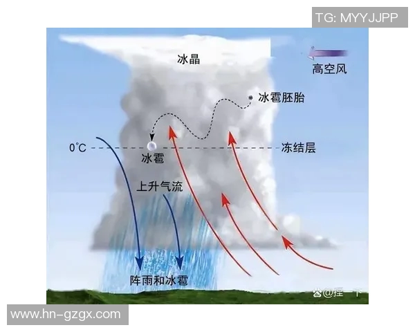 最新全球气候变化报告发布 科学家警告极端天气事件将更频繁发生 最新全球气候变化报告发布 科学家警告极端天气事件将更频繁发生