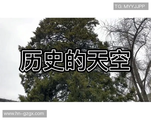 湖人队历史回顾与未来展望:从传奇球员到新星崛起的全面解析 湖人队历史回顾与未来展望:从传奇球员到新星崛起的全面解析