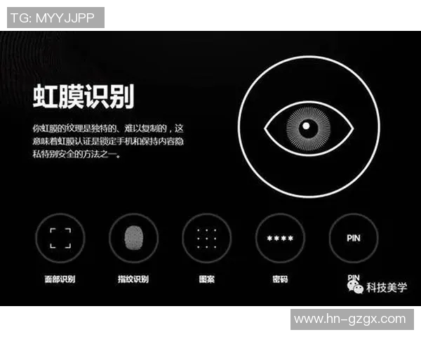 独家解析V5战队实力对比与未来发展潜力分析 独家解析V5战队实力对比与未来发展潜力分析
