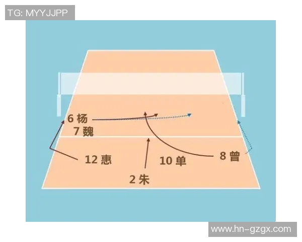重庆排球队进攻战术解析与球队发展现状探讨