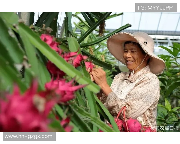 果园采摘季节来临，亲自体验果实丰收的喜悦与自然的魅力